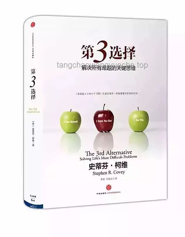 双生抉择进行曲：解决人生重要选择难题